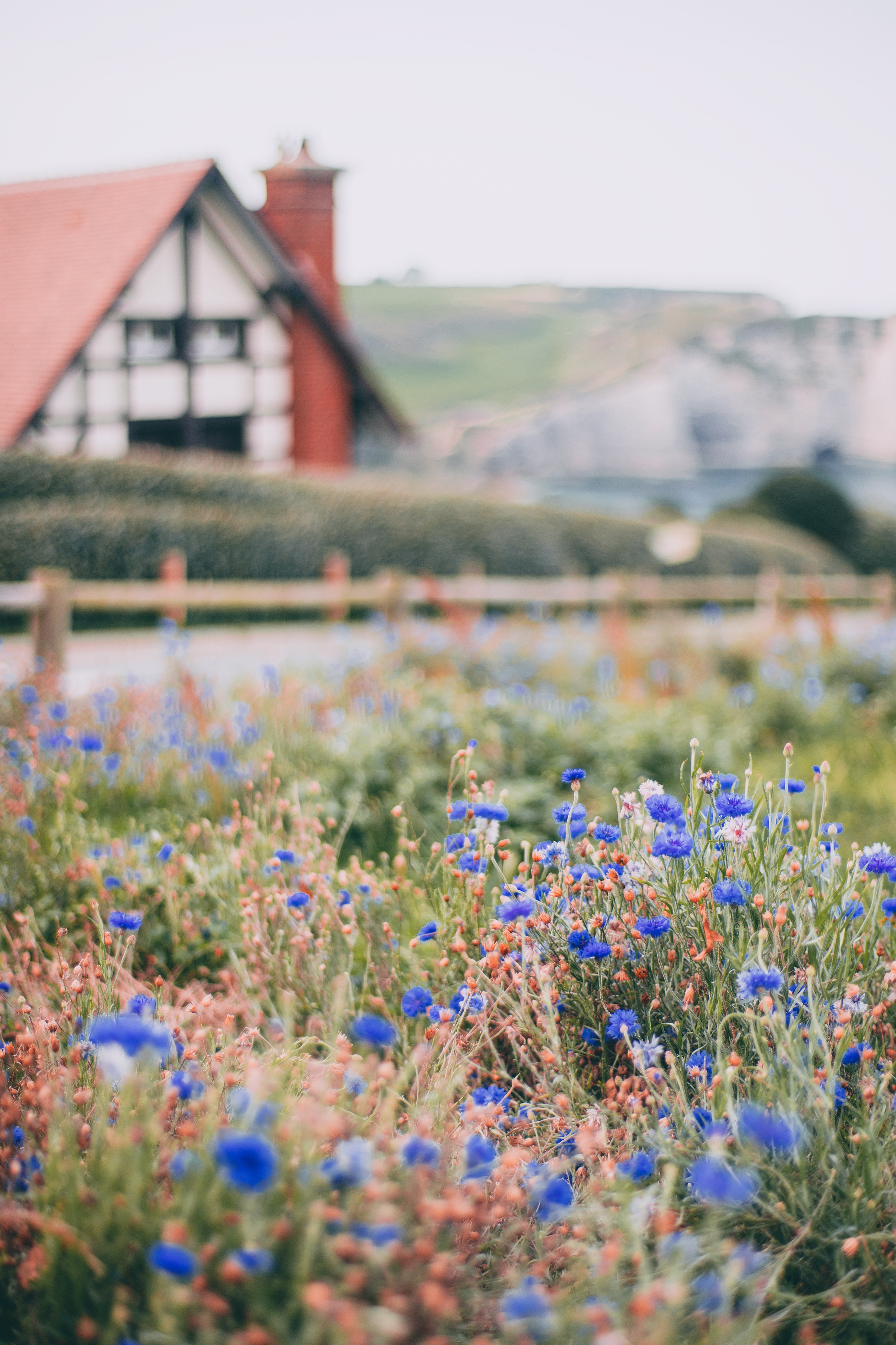 A village house next to some flowers