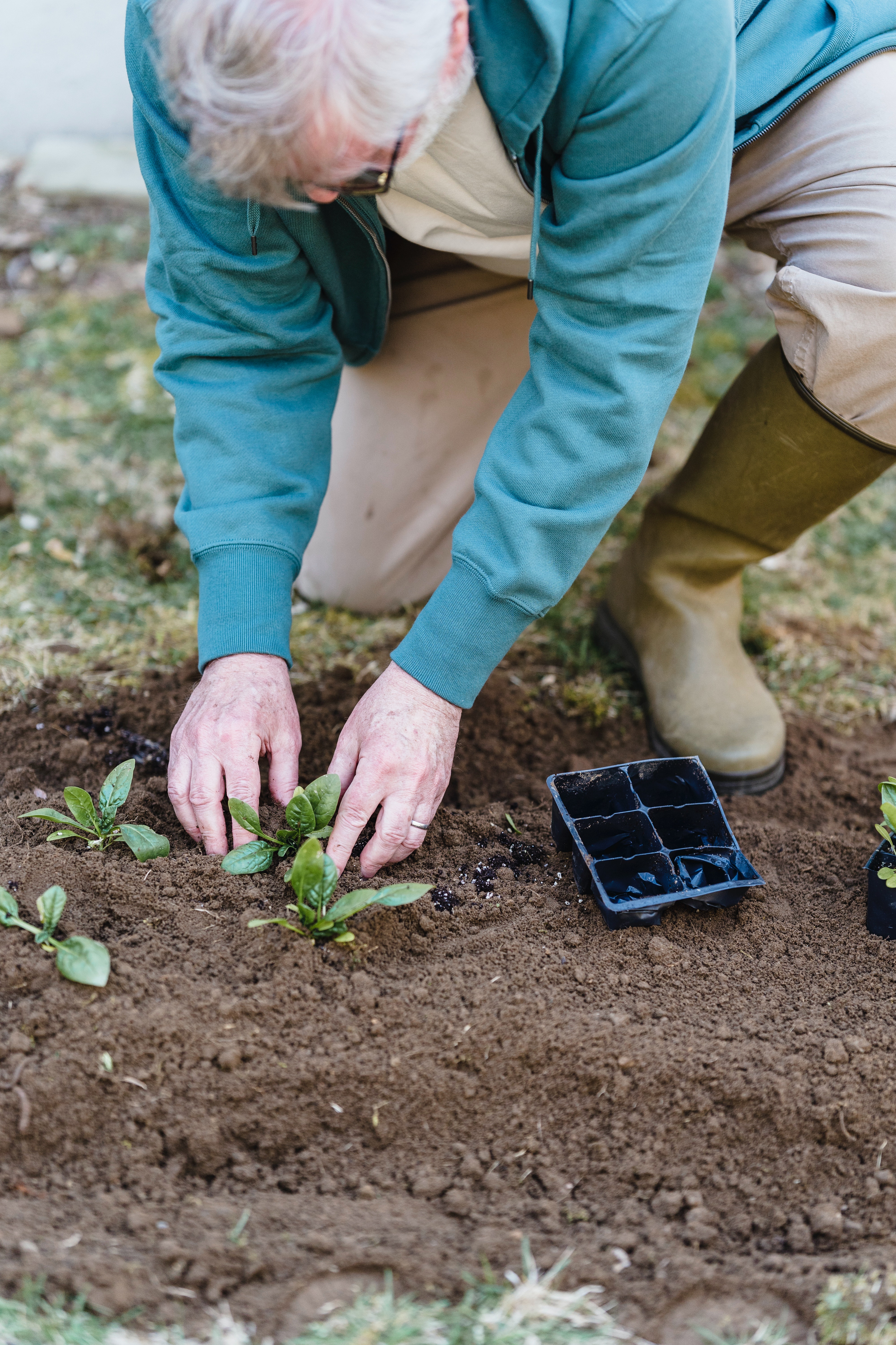 A man helping out planting flower